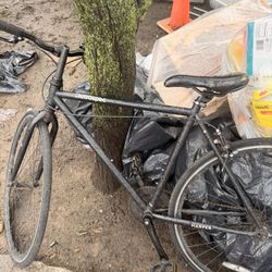 retrospec Fixie bicycle 