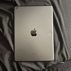 Apple iPad Air