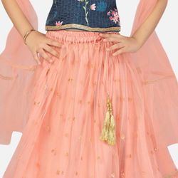 Indian Dress/ Lehenga For Girls