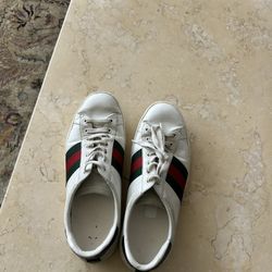 Gucci Aces