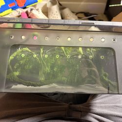 Baby crested gecko tub/Enclosure