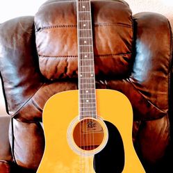 Acoustic Guitar Rogue 