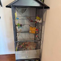 lovebird cage