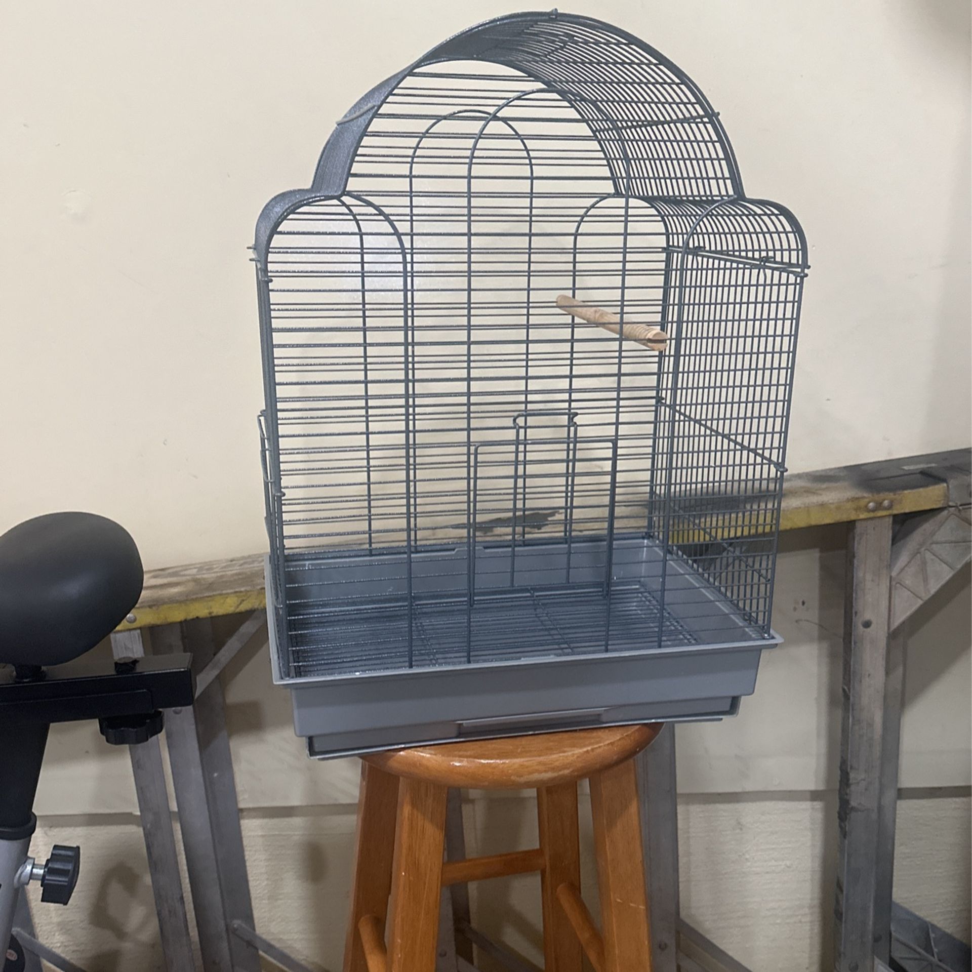Bird Cage