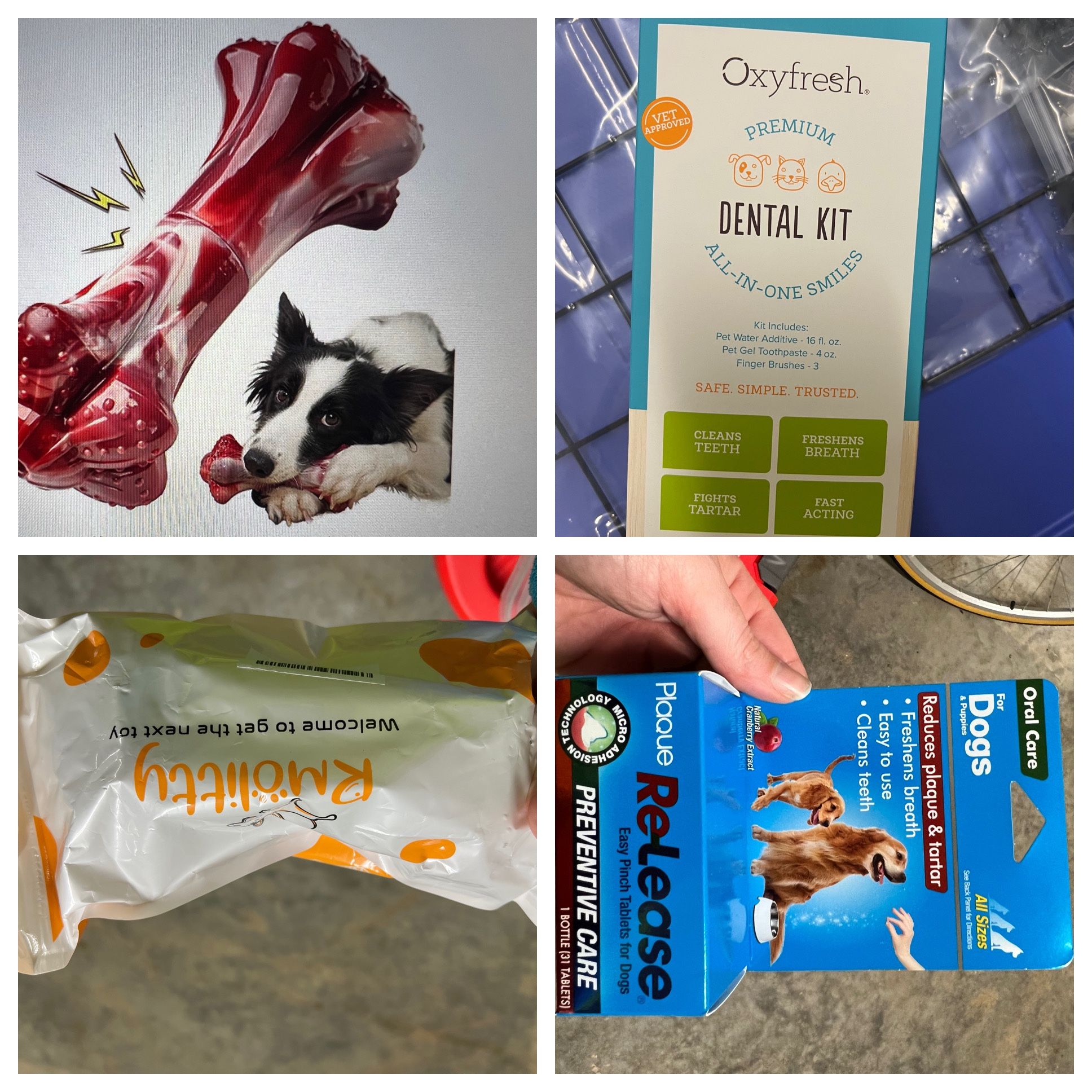 Dog Items