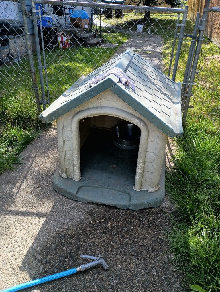 Dog House