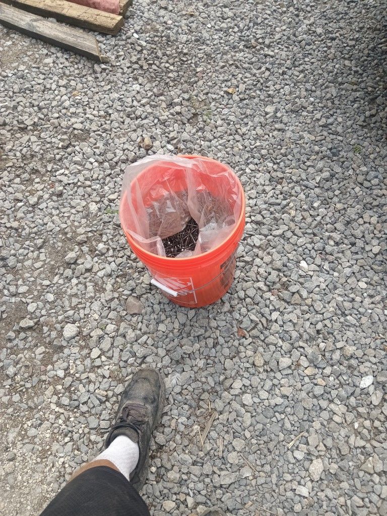 Nails Duplex 8 D 50 Lbs