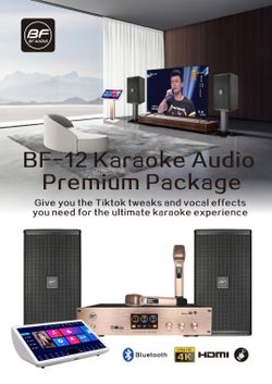 BF-12 Pro Karaoke KTV Package - Free Houston Install
