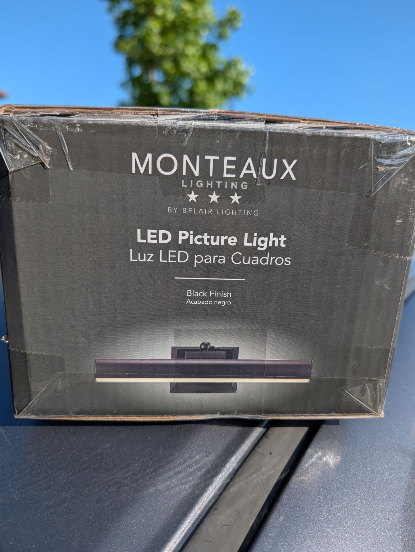MONTEAUX LED picture light *Great deal!!*