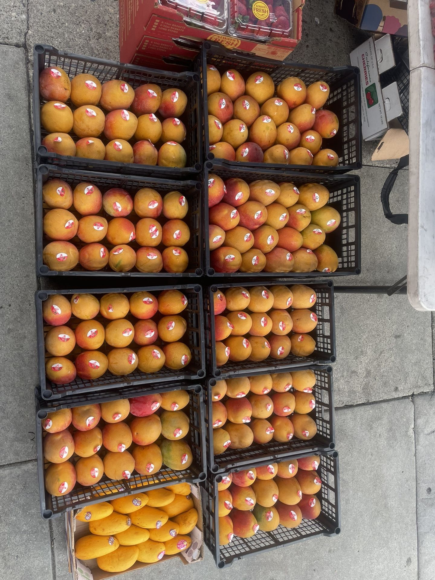 all fresh fruits