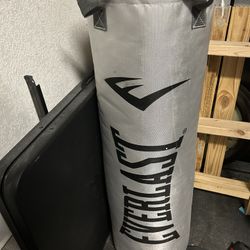 70lb Everlast Punching Bag
