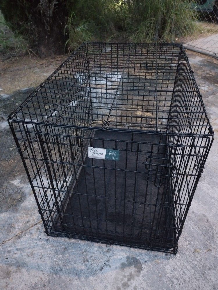 Medium Midwest Life Stages Dog Pet Wire Cage Crate