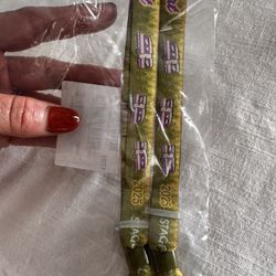 Stagecoach RV Wristbands