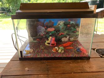 20 gal fish tank