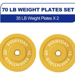 35lb weight plates(pair)
