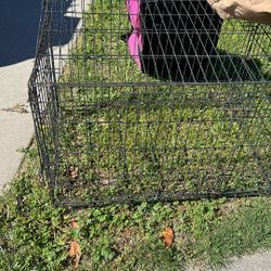 Dog Cage