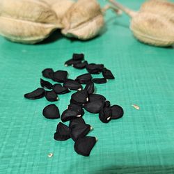 60 Red Yucca Seeds (Hesperaloe parviflora) - Drought tolerant succulent