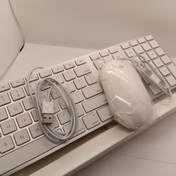  Apple Usb A1243 Keyboard & A1152 Mouse Set