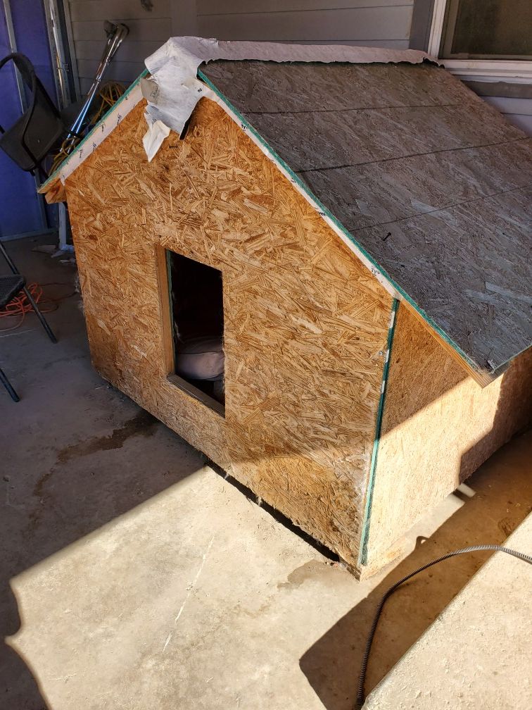 Dog House