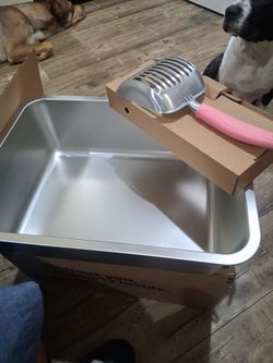 Little box with the scooper