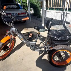 3 Score Trike E Bike