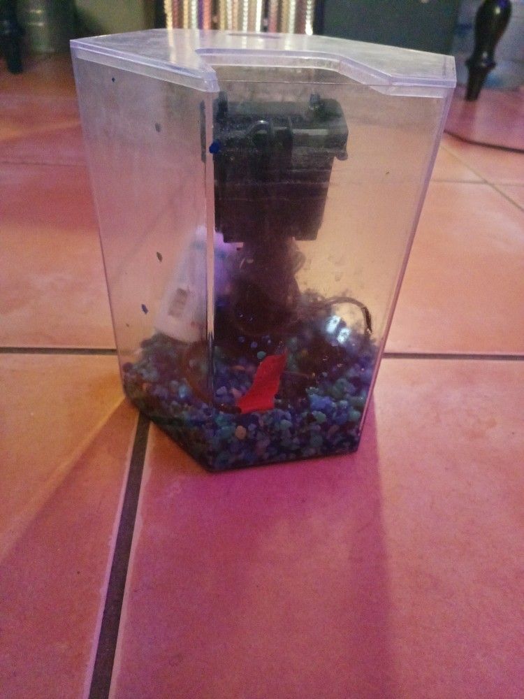 Betta Fish Tank Aquarium
