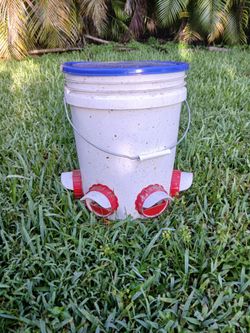 Chicken/poultry feeder