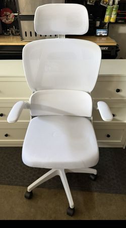 Ergonomic Office Chair