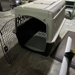 Dog Kennel