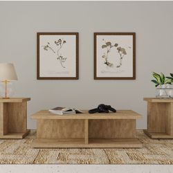3~ Pc Coffee And End Table Set Mango