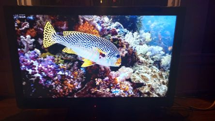 32-inch  Panasonic LCD 📺