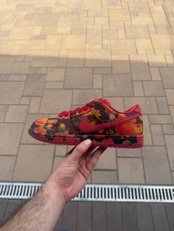 Nike SB Dunk Low Wizard of Oz size 9