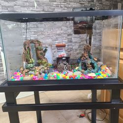 Aquarium 
