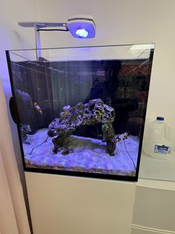 Empty Aquarium with Accessories