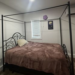 Queen Canopy Bedframe 