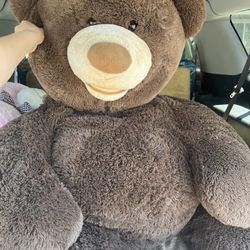Giant Teddy Bear! 