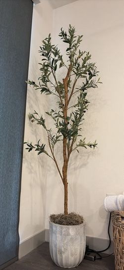 Artificial Olive Tree w/decorative pot