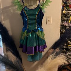 Peacock / Fairy costume