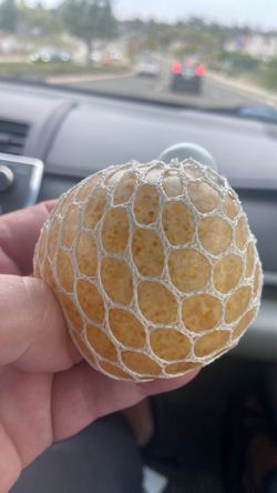Squishy toy