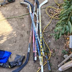 Bundle Of Hockey Sticks 