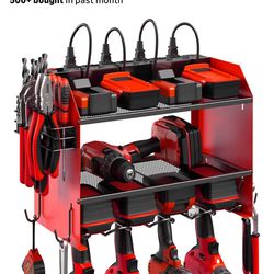 Power tool organizer