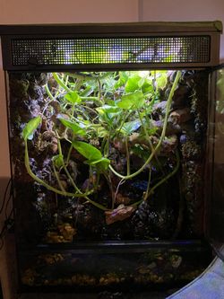 terrarium / Paludarium 18x18x24