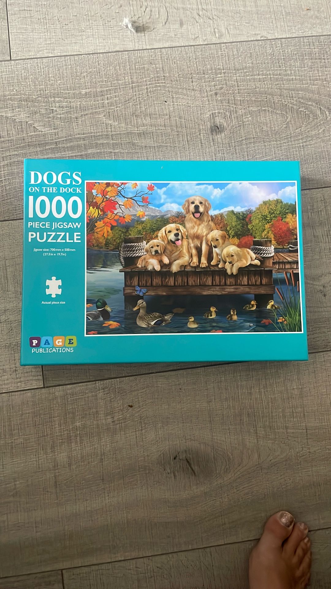 1000 Piece Puzzle