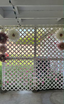 Party Decorations