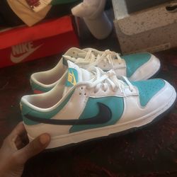 Nike Dunks Lows