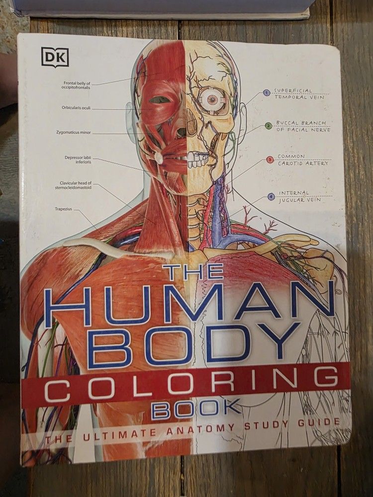 Anatomy Books And Items