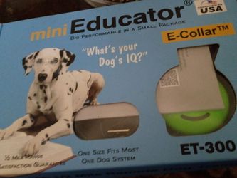 E collars for dogs