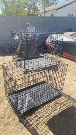 Aulas para perro por la chica estoy pidiendo 25 y la otra más grande 40 están en buenas condiciones