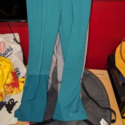 Green Fig Scrub Pants Xs