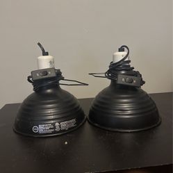 Twin Heat Lamps
